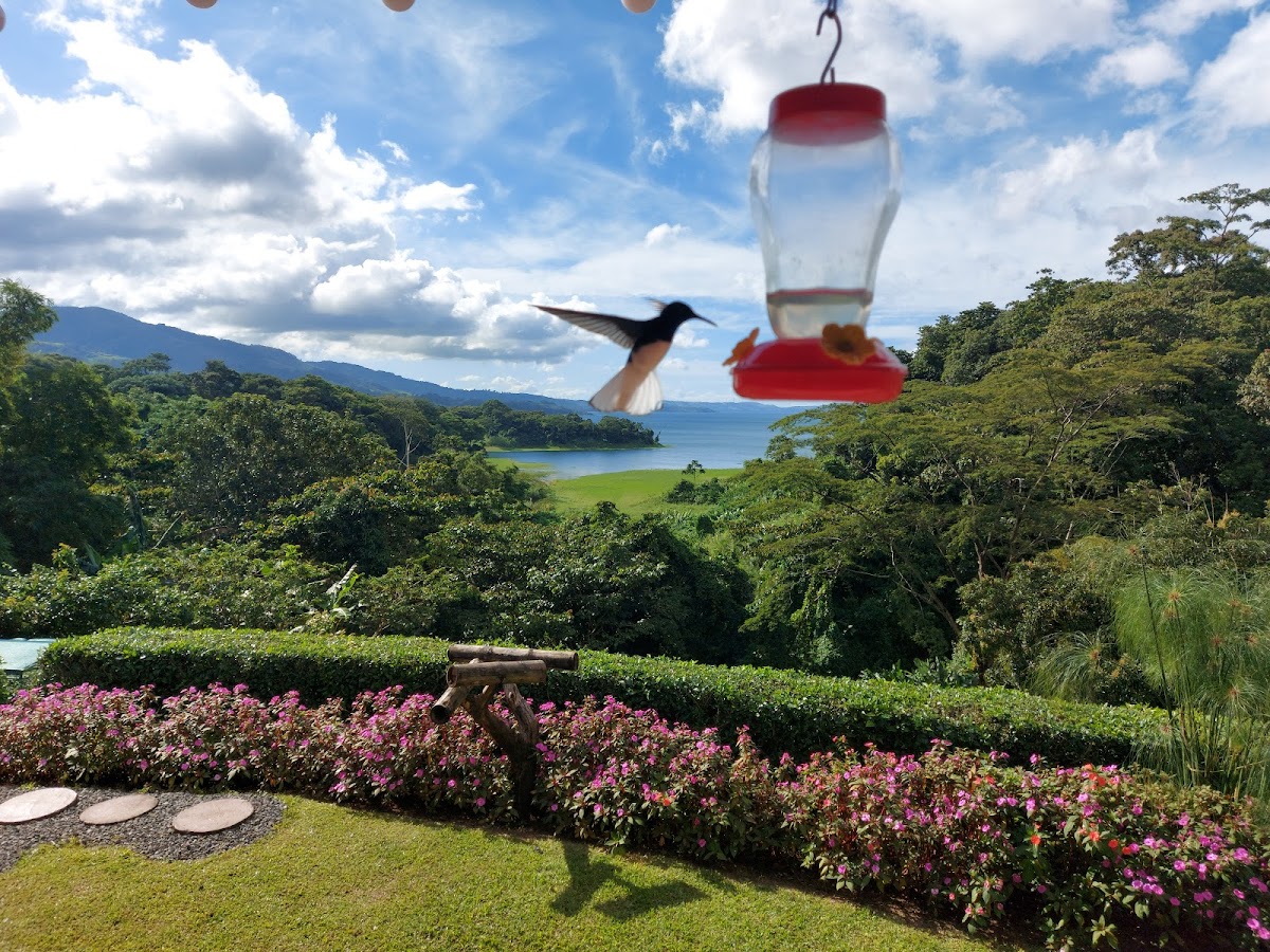 Selva Paraiso Coffeeshop & Souvenir-4